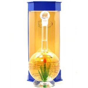 Casino Azul Blanco Tequila